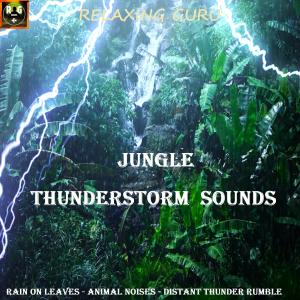 อัลบัม Jungle Thunderstorm Sounds with Rain On Leaves, Animal Noises and Distant Thunder Rumble ศิลปิน Relaxing Guru