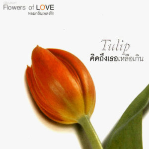 ดาวน์โหลดและฟังเพลง ฉันยังรอเธอ พร้อมเนื้อเพลงจาก อั๋น ภูวนาท