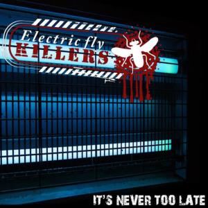 收聽Electric Fly Killers的Boiling Blood歌詞歌曲