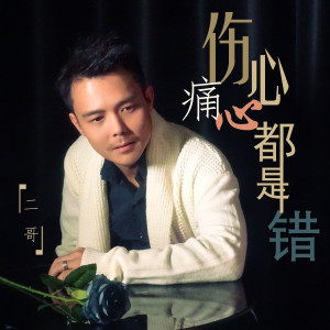 收聽廣西二哥的傷心痛心都是錯歌詞歌曲