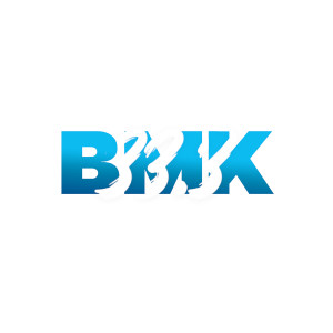 BMK的專輯33.3