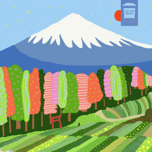 Fuji Fields