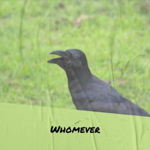 Album Whomever from Various