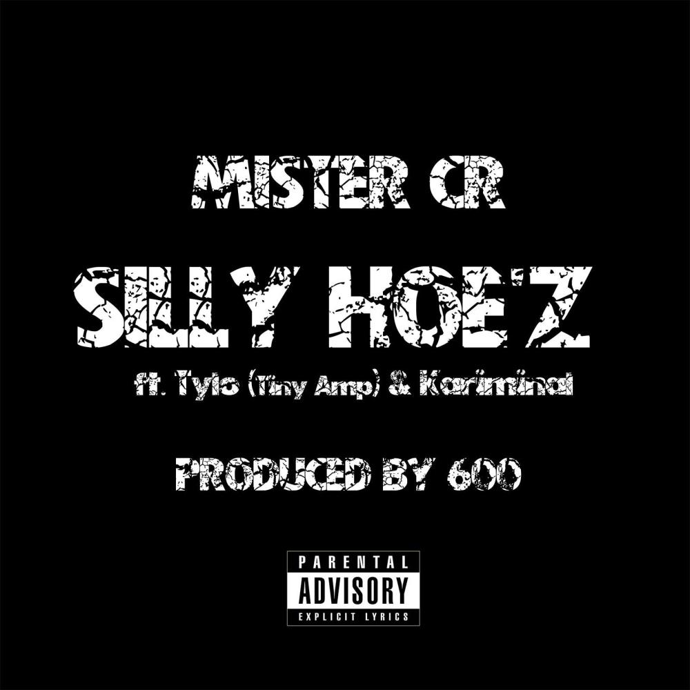 Silly Hoe'z (feat. Tylo ( Tiny Amp ) & Kariminal) (Explicit)