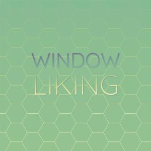 收听Jonh Muli的Window Liking歌词歌曲