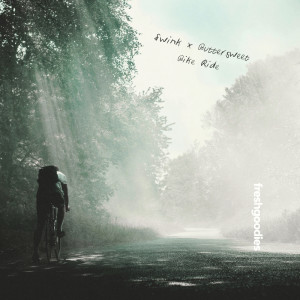 ดาวน์โหลดและฟังเพลง Bike Ride พร้อมเนื้อเพลงจาก Swink