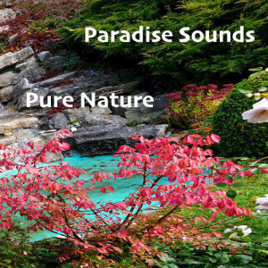 ดาวน์โหลดและฟังเพลง Tropical Jungle Rain พร้อมเนื้อเพลงจาก Paradise Sounds