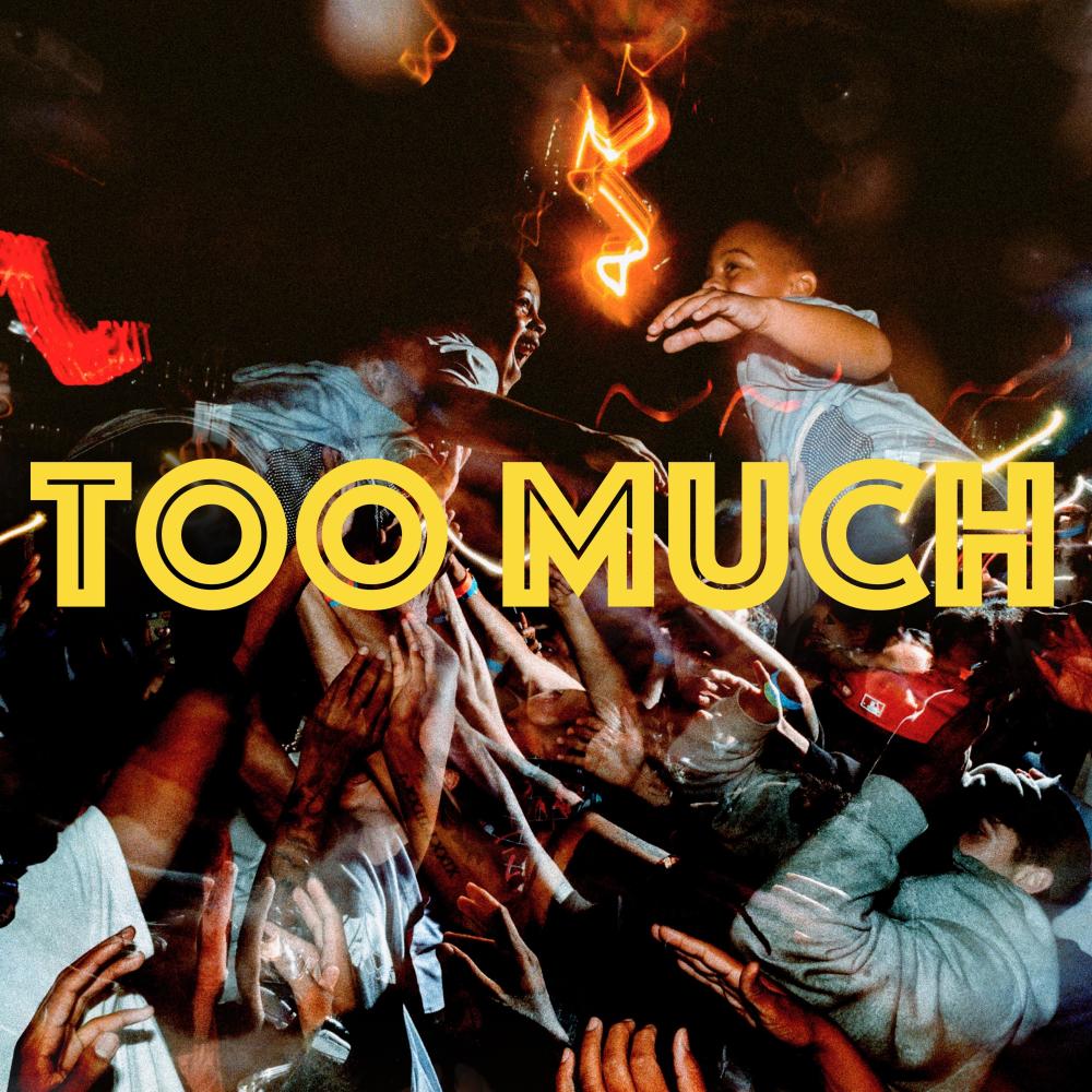 Too Much (Explicit)