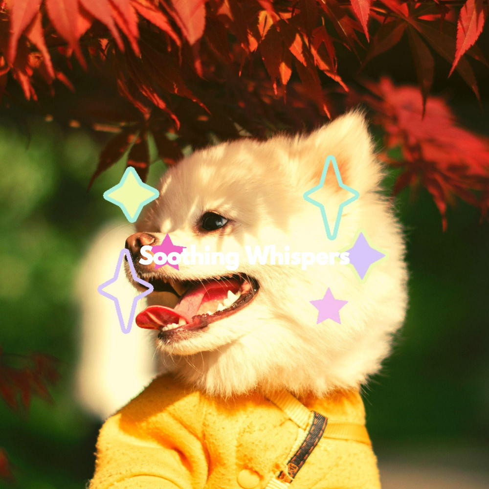 Background for Happy Beagle