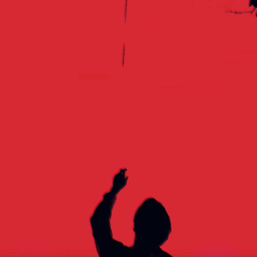 DAMN (Explicit)