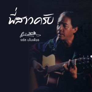 收听群星的พี่สาวครับ歌词歌曲