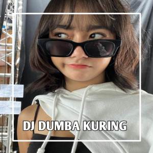 Album DJ DOMBA KURING from DJ ASIK