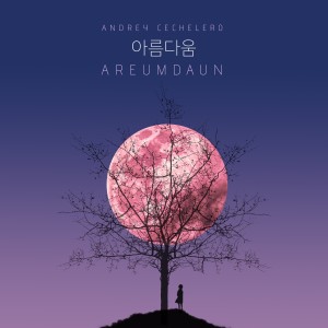 ดาวน์โหลดและฟังเพลง Areumdaun พร้อมเนื้อเพลงจาก Andrey Cechelero