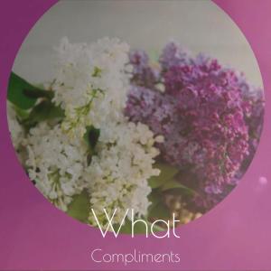 Listen to What Compliments song with lyrics from Paraig Chir