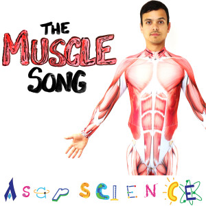 The Muscle Song dari AsapSCIENCE
