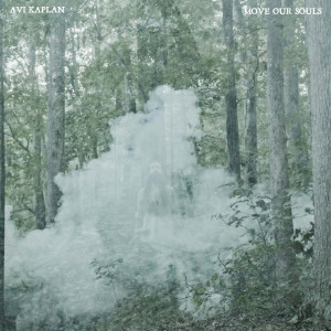 อัลบัม Move Our Souls ศิลปิน Avi Kaplan
