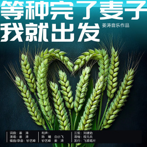 Album 等种完了麦子我就出发 from 姜涛