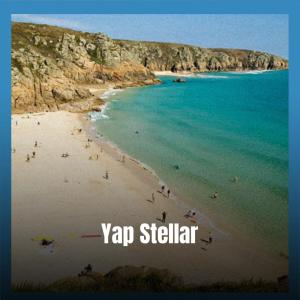 Various Artists的專輯Yap Stellar