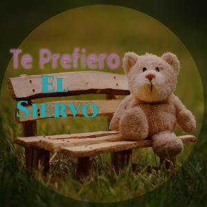 Listen to Te Prefiero song with lyrics from DonMusic