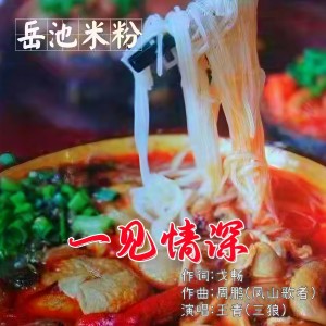 Listen to 一见情深 (伴奏) song with lyrics from 三郎王青 