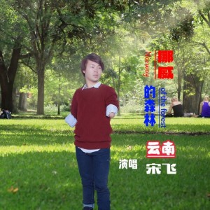 Listen to 挪威的森林 (cover: 伍佰 & China Blue) (完整版) song with lyrics from 云南宋飞