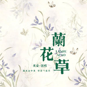 英豪的专辑兰花草