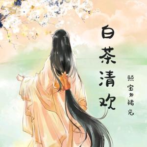 Listen to 白茶清欢 (伴奏) song with lyrics from 熙宝