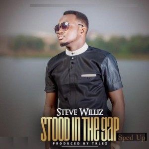 ดาวน์โหลดและฟังเพลง Stood in the Gap (Sped Up) พร้อมเนื้อเพลงจาก Steve Williz