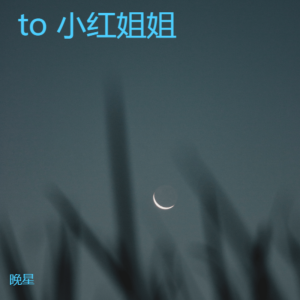 晚星的专辑to 小红姐姐