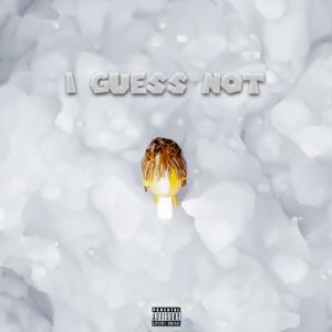 STIFFIC的專輯I GUESS NOT :/ (Explicit)
