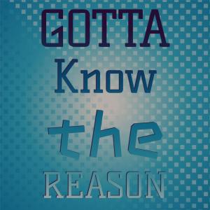 Listen to Gotta Know the Reason song with lyrics from Vern Brandon