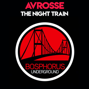 Avrosse的专辑The Night Train