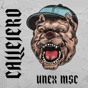 Listen to Callejero (Explicit) song with lyrics from Unex Msc