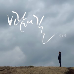 Listen to The path of the wind song with lyrics from Tiny Seed