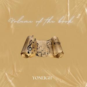 收聽Yoneigh的Cant Give Up歌詞歌曲