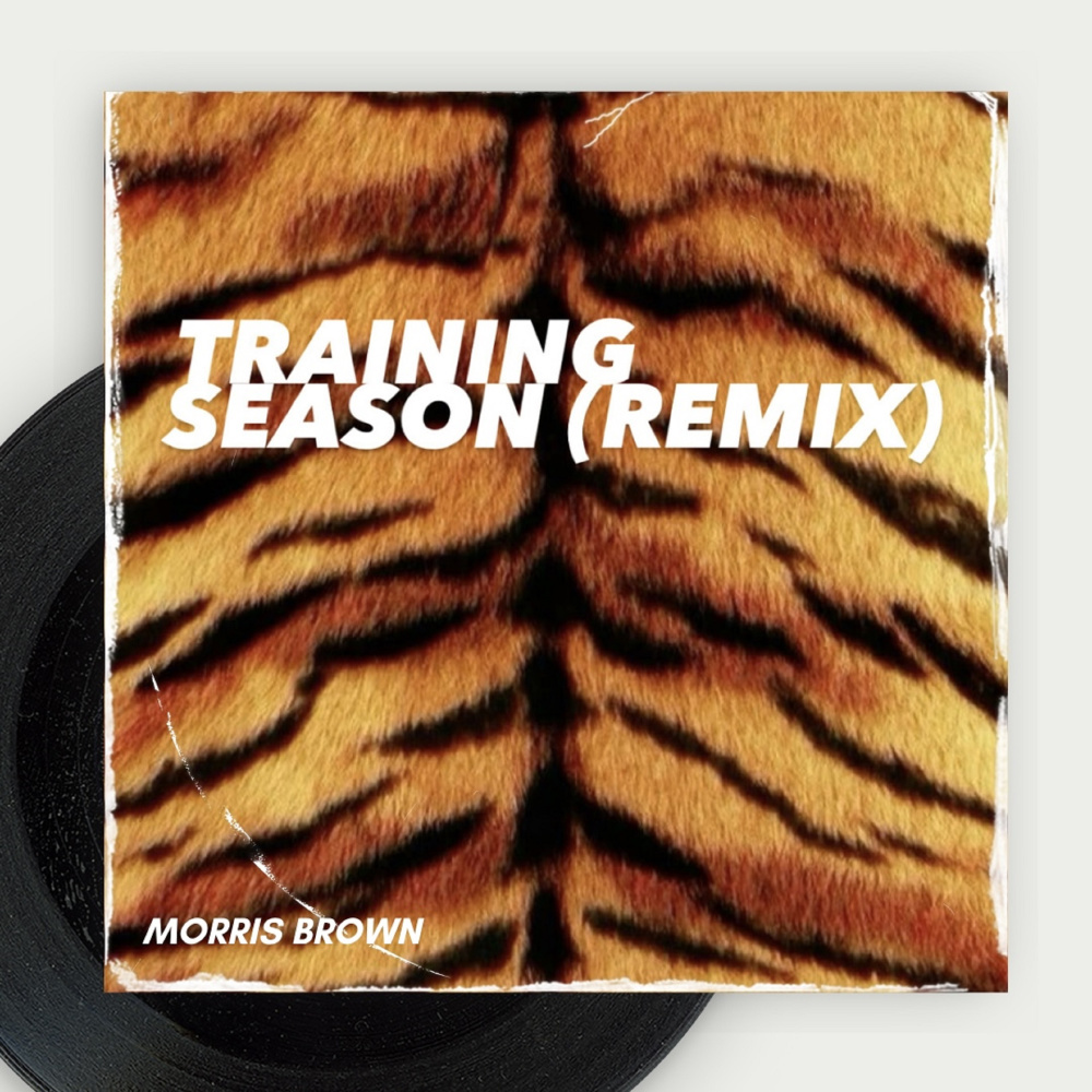 Training Season (Remix)