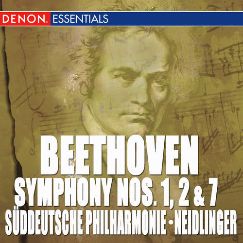 Symphony No. 1 In C Major, Op. 21: III. Menuet: Allegro Molto Vivace Attacca