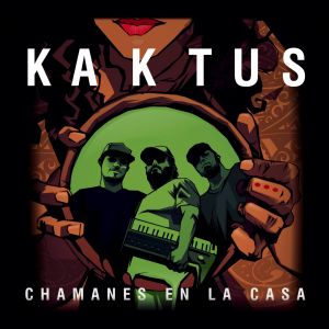 Listen to Camino Con Estilo song with lyrics from Kaktus