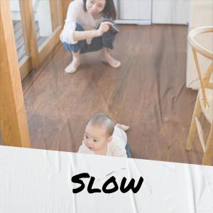 Album Slow from Various