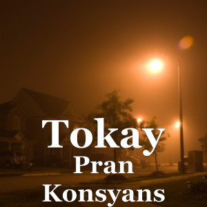 Album Pran Konsyans from TOKAY