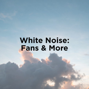 ดาวน์โหลดและฟังเพลง White Noise Fan พร้อมเนื้อเพลงจาก BodyHI