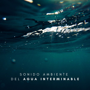 Musica Para Meditacion Profunda的專輯Sonido Ambiente Del Agua Interminable