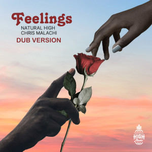 Natural High Music的專輯Feelings (Dub Version)