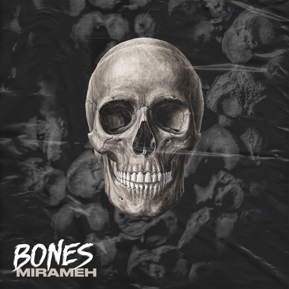 Bones