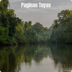 Listen to Espana Y Los Turistas song with lyrics from Canalejas De Puerto Real