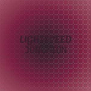 Album Lightspeed Junction from Various Artists