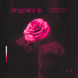 Listen to DRAGOSTEA TA song with lyrics from Swisher