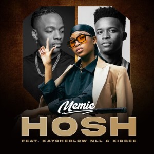 Listen to Hosh song with lyrics from Meme