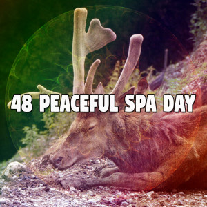 48 Peaceful Spa Day