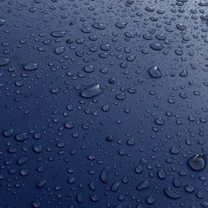 Listen to Early song with lyrics from Phosphorus